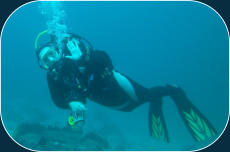 Diver 1